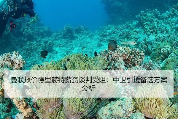 man-lian-bao-jia-de-li-he-te-xin-zi-tan-pan-shou-zu-zhong-wei-yin-yuan-bei-xuan-fang-an-fen-xi-3-470.jpg