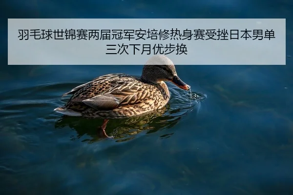 yu-mao-qiu-shi-jin-sai-liang-jie-guan-jun-an-pei-xiu-re-shen-sai-shou-cuo-ri-ben-nan-dan-san-ci-xia-yue-you-bu-huan-2-389.jpg